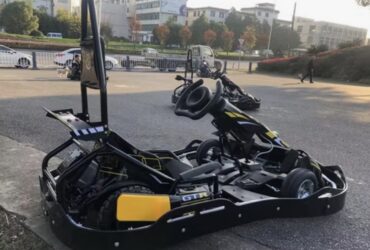 Amusement park use 30-60km/H Battery Motor Power high speed Racing Ride on cars crazy cart Electric Go kart carting car for kids and adult