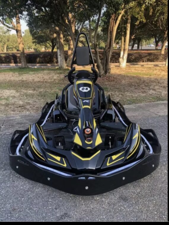 Amusement park use 30-60km/H Battery Motor Power high speed Racing Ride on cars crazy cart Electric Go kart carting car for kids and adult